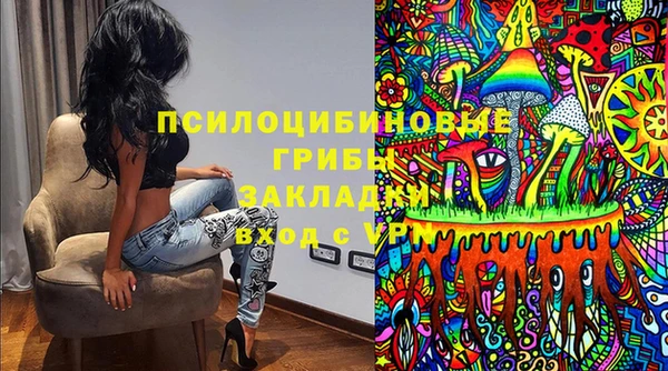 индика Протвино